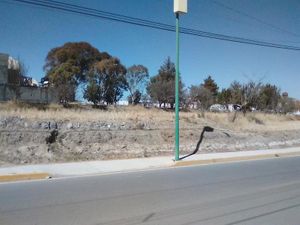 Terreno en Venta en SANTA MARIA TEXCALAC Apizaco