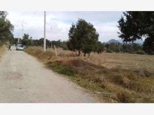 Terreno en Venta en San Andres Ahuashuatepec Tzompantepec