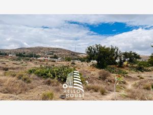 Terreno en Venta en Carboneras Mineral de la Reforma