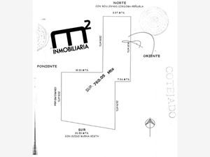 Bodega en Venta en Buenavista Córdoba