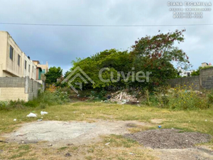 Terreno escriturado con servicios de agua y luz: Ideal para proyectos.