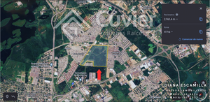 Altamira, ciudad en crecimiento: 41 hectáreas en renta para el sector comercial