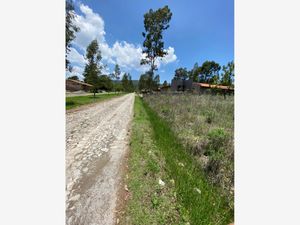 Terreno en Venta en Tapalpa Tapalpa