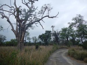 Finca/Rancho en Venta en Agua Fría Apodaca