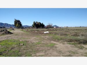 Terreno en Venta en Maneadero Ensenada