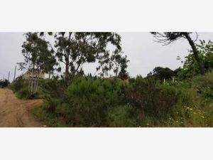 Terreno en Venta en Ejido Ruiz Cortines Ensenada