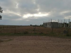 Terreno en Renta en Úrsulo Galván Ensenada