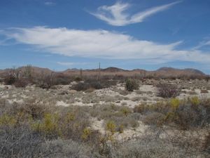 Terreno en Venta en San Quintín San Quintín