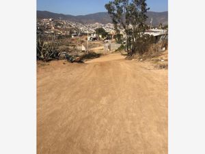 Terreno en Venta en Ejido Ruiz Cortines Ensenada