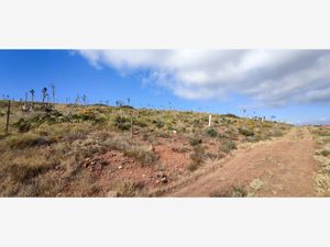 Terreno en Venta en La Bufadora Ensenada