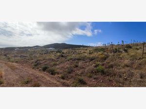 Terreno en Venta en La Bufadora Ensenada