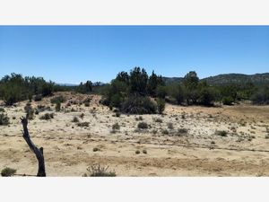 Terreno en Venta en Heroes de la Independencia (llano Colorado) Ensenada