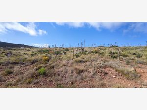 Terreno en Venta en La Bufadora Ensenada