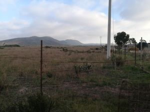 Terreno en Renta en Úrsulo Galván Ensenada