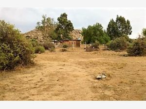 Terreno en Venta en Real del Castillo Nuevo (ojos Negros) Ensenada