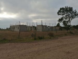 Terreno en Renta en Úrsulo Galván Ensenada