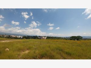 Terreno en Venta en El Tecolote Cuernavaca