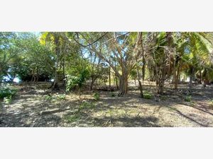 Terreno en Venta en Chacahua Villa de Tututepec