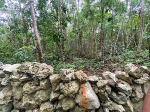 Terreno en Venta en La Veleta Tulum