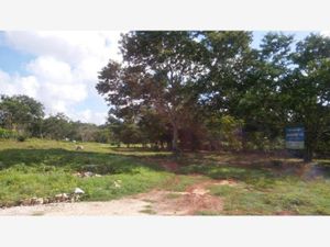 Terreno en Venta en Izamal Izamal