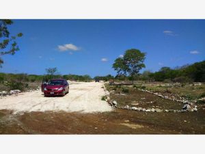 Terreno en Venta en Izamal Izamal