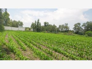 Terreno en Venta en Mangas Tezontepec de Aldama