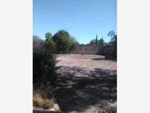 Terreno en Venta en Santiago Tezontlale Ajacuba