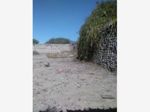 Terreno en Venta en Santiago Tezontlale Ajacuba