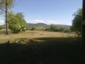 Terreno en Venta en Tianguistengo Tepeji del Río de Ocampo