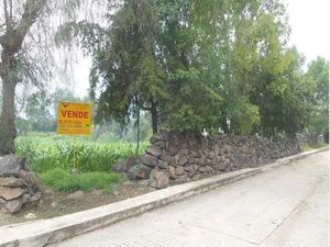 Terreno en Venta en Mangas Tezontepec de Aldama