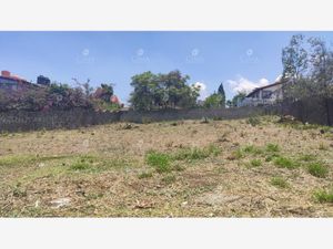 Terreno en Venta en Hacienda Tetela Cuernavaca