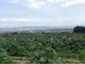 Terreno en Venta en Ocotepec Cuernavaca