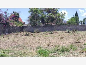 Terreno en Venta en Hacienda Tetela Cuernavaca