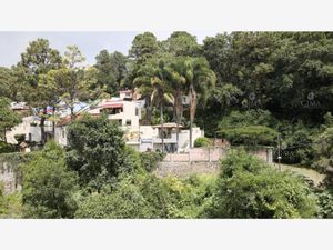 Terreno en Venta en Del Bosque Cuernavaca