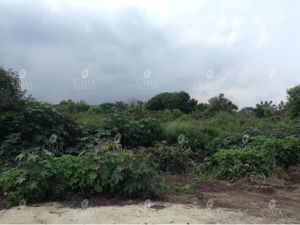 Terreno en Venta en Ocotepec Cuernavaca