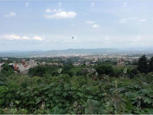 Terreno en Venta en Ocotepec Cuernavaca