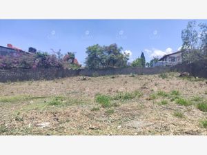 Terreno en Venta en Hacienda Tetela Cuernavaca