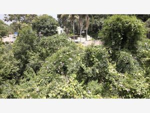 Terreno en Venta en Del Bosque Cuernavaca