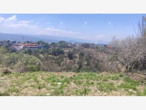 Terreno en Venta en Hacienda Tetela Cuernavaca