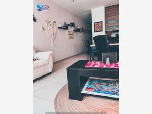 Departamento en Venta en Lomas Cuarta Sección San Luis Potosí