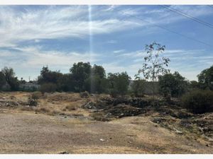 Terreno en Renta en Texcacoa Tepotzotlán