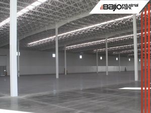 Nave en Renta en Parque Industrial Bajío Salamanca