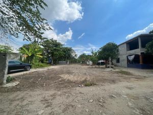 Terreno en Venta en Flores del Trópico Centro