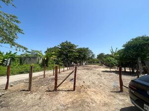 Terreno en Venta en Flores del Trópico Centro