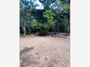 Terreno en Venta en Lomas de Vista Hermosa Cuernavaca