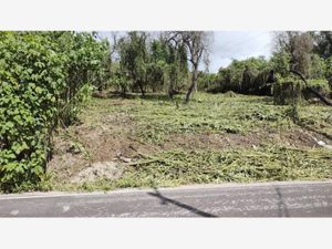 Terreno en Venta en Tequesquitengo Jojutla