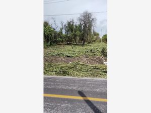 Terreno en Venta en Tequesquitengo Jojutla