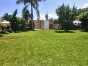 Terreno en Venta en Delicias Cuernavaca