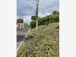 Terreno en Venta en Tequesquitengo Jojutla