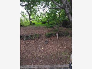 Terreno en Venta en Vista Hermosa Cuernavaca